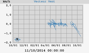 Wind Vector